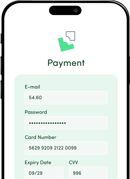 Payment Service Providers image